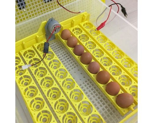 Бытовой инкубатор для 48 куриных яиц с контролем температуры, влажности и автоматическим переворотом SITITEK 48 с автономным питанием 12В