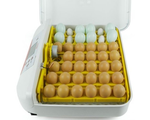 Автоматический инкубатор на 41 куриное яйцо SITITEK 40
