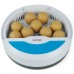 Автоматический инкубатор для куриных и перепелиных яиц SITITEK 9 LED