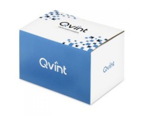 Внутренняя IP-камера Qvint QV-H812X
